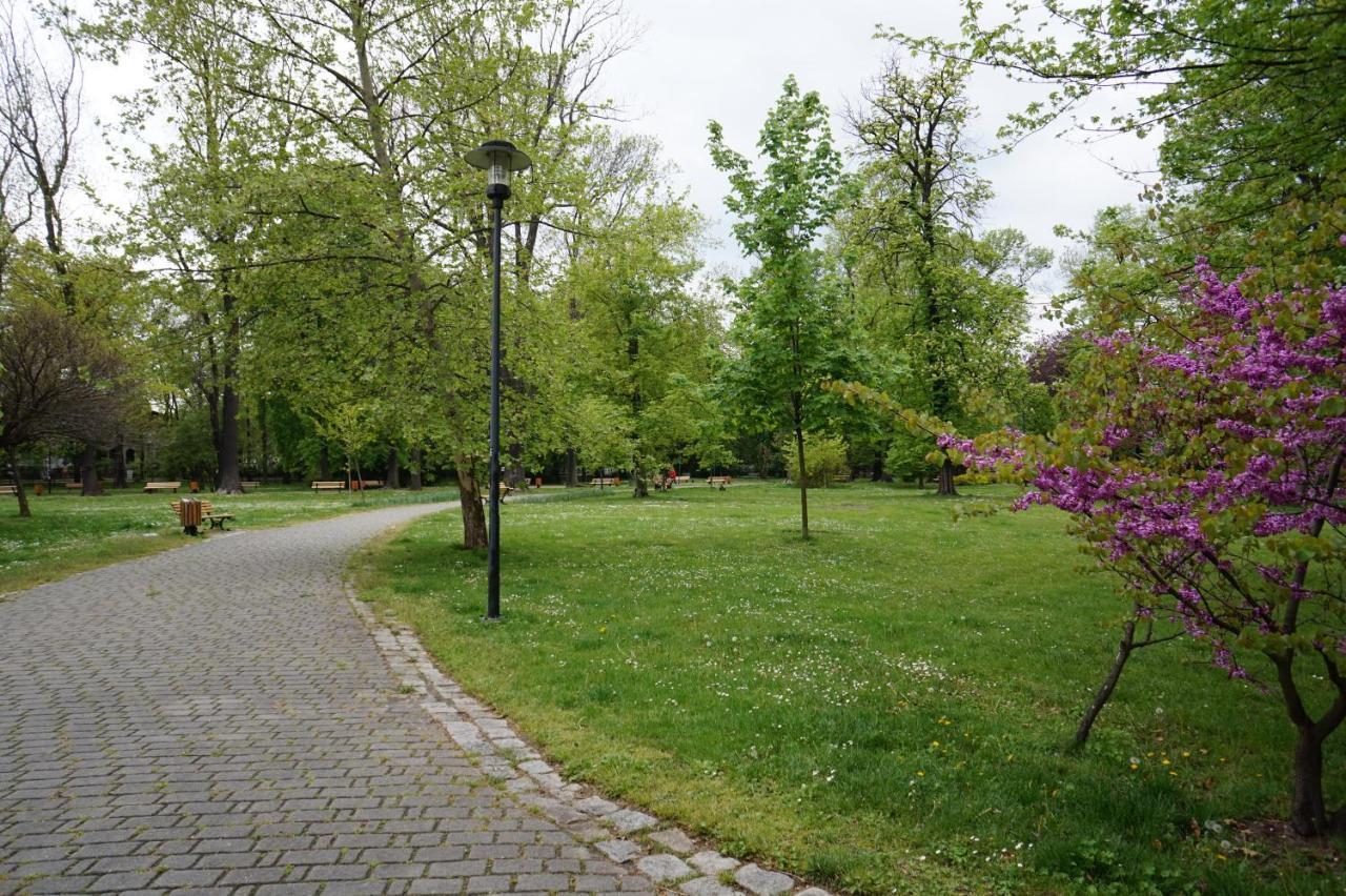 Apartament Gliwice Centrum Fredry II エクステリア 写真